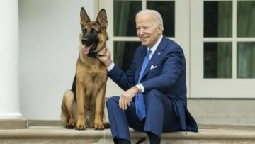 ABD Başkanı Biden’ın köpeği Commander, 24 Gizli Servis personelini ısırdı