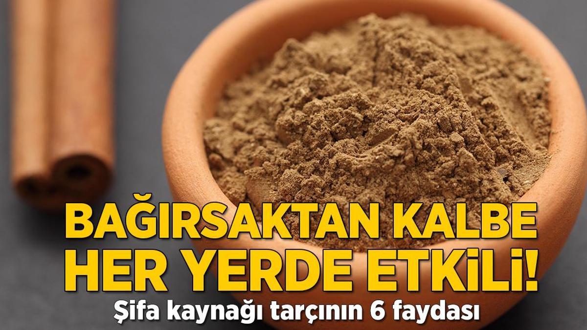 Bağırsaktan kalbe her yerde etkili! Şifa kaynağı tarçının 6 faydası