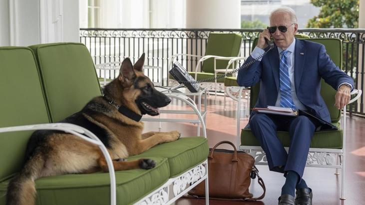 Biden’ın köpeği, başkanın korumalarını en az 24 kez ısırdı