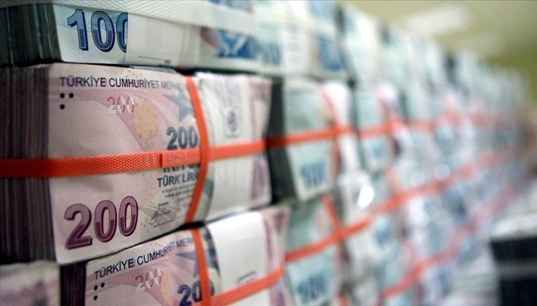 Hazine 24,8 milyar lira borçlandı