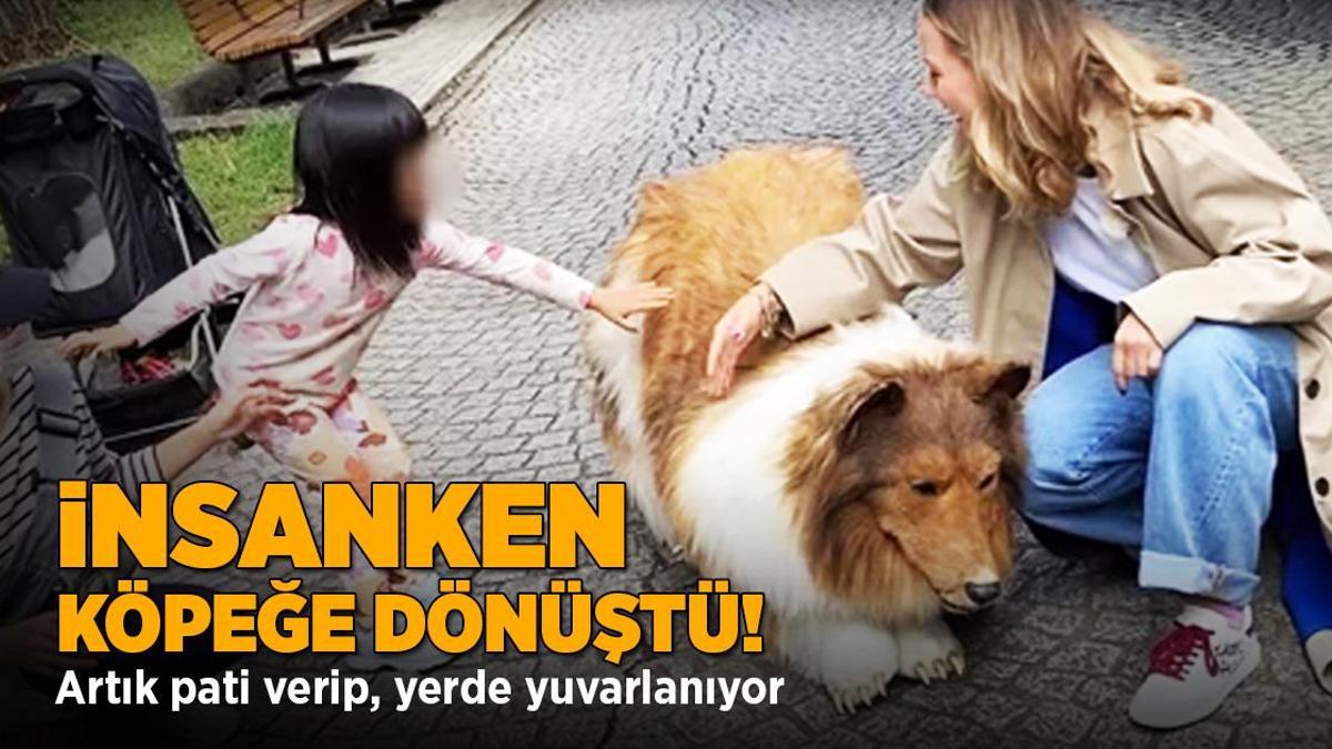 İnsanken köpeğe dönüştü! Artık pati verip, yerde yuvarlanıyor