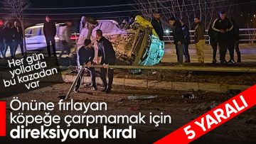 Tokat’ta yola atlayan sokak köpeği kazaya yol açtı! 5 kişi yaralandı