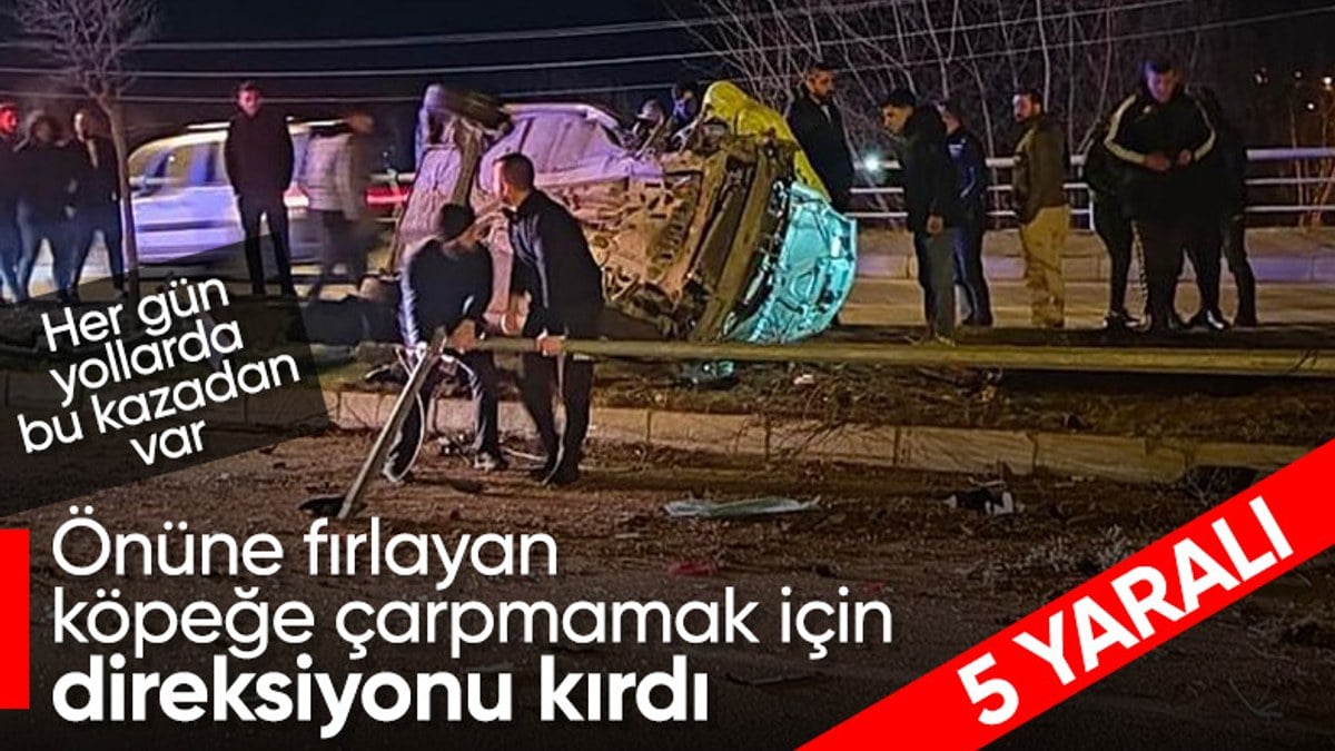 Tokat’ta yola atlayan sokak köpeği kazaya yol açtı! 5 kişi yaralandı