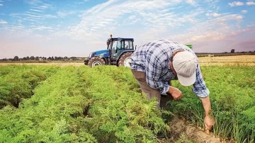 Çiftçilere 142,6 milyon liralık destekleme ödemesi yapıldı