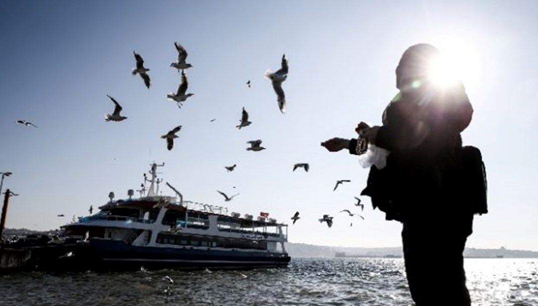 Dünyada sıcaklık rekoru kırıldı: Şimdiye kadar yaşanan en sıcak şubat