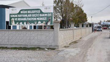 Jandarma harekete geçti: Dövüştürülen 2 köpek barınaktan çalındı