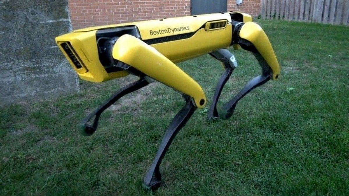 Robot köpek silahlı çatışma sırasında vuruldu